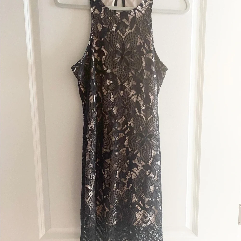 Express Lace Dress - Picture 2 of 4